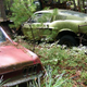 Illustration for article titled Massive Secret Mustang Junkyard Found In Rhode Island Forest